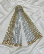 Mirror Work Swagat Dupatta